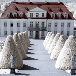 Пазл: Морозный день