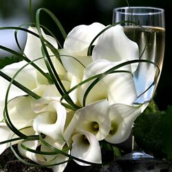 Пазл: Цветы