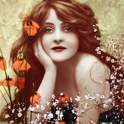 Пазл: Девушка с маками