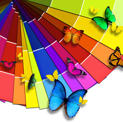 Пазл: Веер цвета