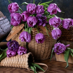 Пазл: Тюльпаны