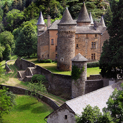 Пазл: Замок Шам