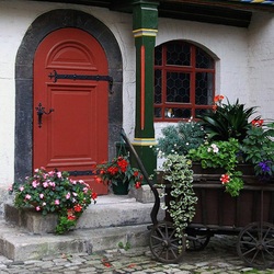 Пазл: Цветы у дома