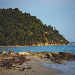 Пазл: Берег