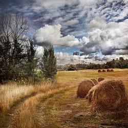 Пазл: Стога и небо