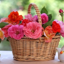 Пазл: Корзинка роз