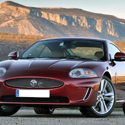 Пазл: Ягуар