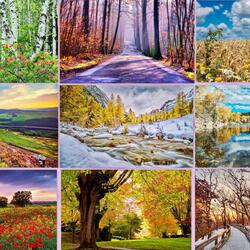 Пазл: Поэзия природы