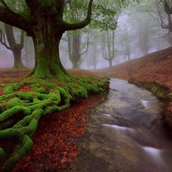 Пазл: Страна Басков