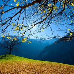 Пазл: Осень