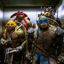 Пазл: Черепашки ниндзя