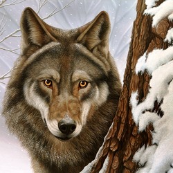 Пазл: Волк