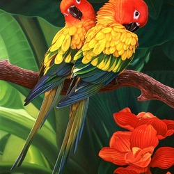 Пазл: Пернатые