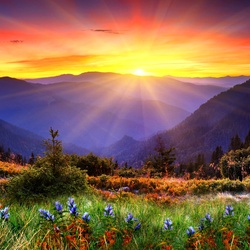 Пазл: Закат в горах