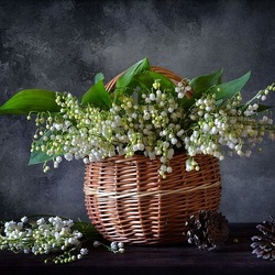 Пазл: Ландыши из леса