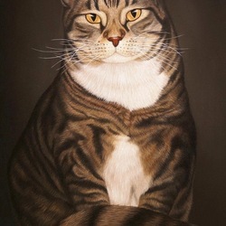 Пазл: Кошка