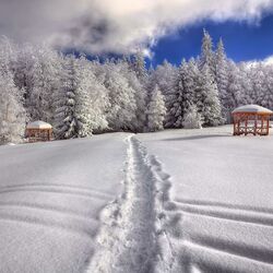 Пазл: Зимний пейзаж