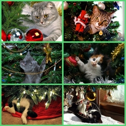 Пазл: Кошачий новый год