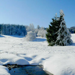 Пазл: Зимнее настроение