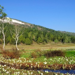 Пазл: Весна