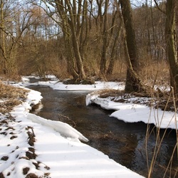 Пазл: Снег тает...