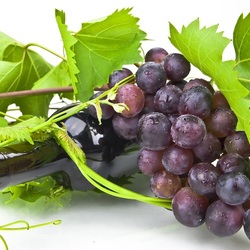 Пазл: Вино и виноград