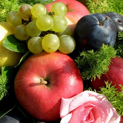 Пазл: Фрукты