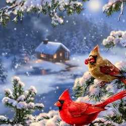 Пазл: Разгар зимы