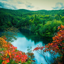 Пазл: Яркие краски природы