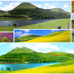 Пазл: Природа