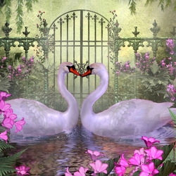 Пазл: Лебединая нежность
