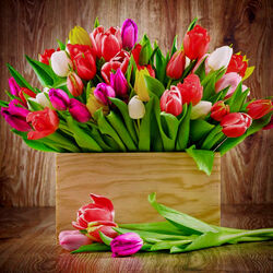 Пазл: Весенние краски