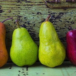 Пазл: Четыре груши