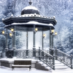 Пазл: В зимнем парке