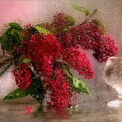 Пазл: Натюрморт с дождем