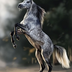Пазл: Лошадь