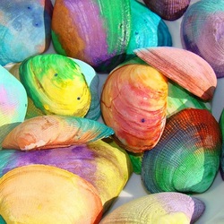 Пазл: Ракушки