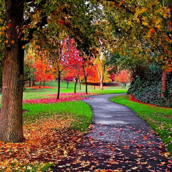 Пазл: Яркие краски осени