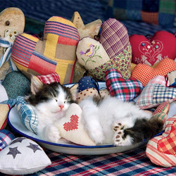 Пазл: Мое сердце - тебе!