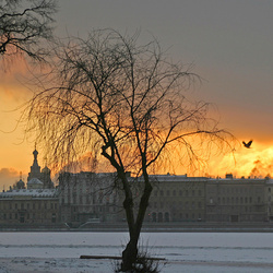 Пазл: Зимний Санкт-Петербург