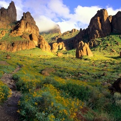 Пазл: Природа Аризоны