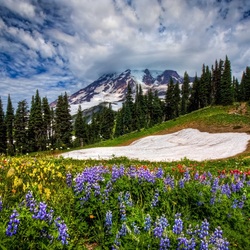Пазл: Горный пейзаж