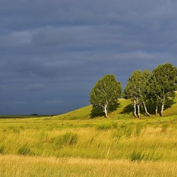 Пазл: Перед грозой