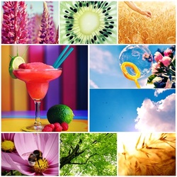 Пазл: Яркий