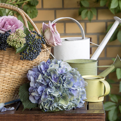 Пазл: Уголок сада