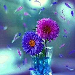 Пазл: Две астрочки