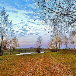 Пазл: Осенняя зарисовка