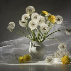 Пазл: Одуванчики