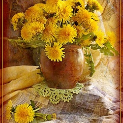 Пазл: Одуванчики