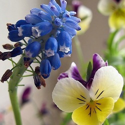 Пазл: Фотоэтюд - 